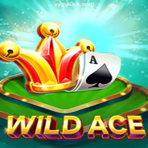 Explore the Thrills of WildAce: A Top Choice in Gaming Entertainment